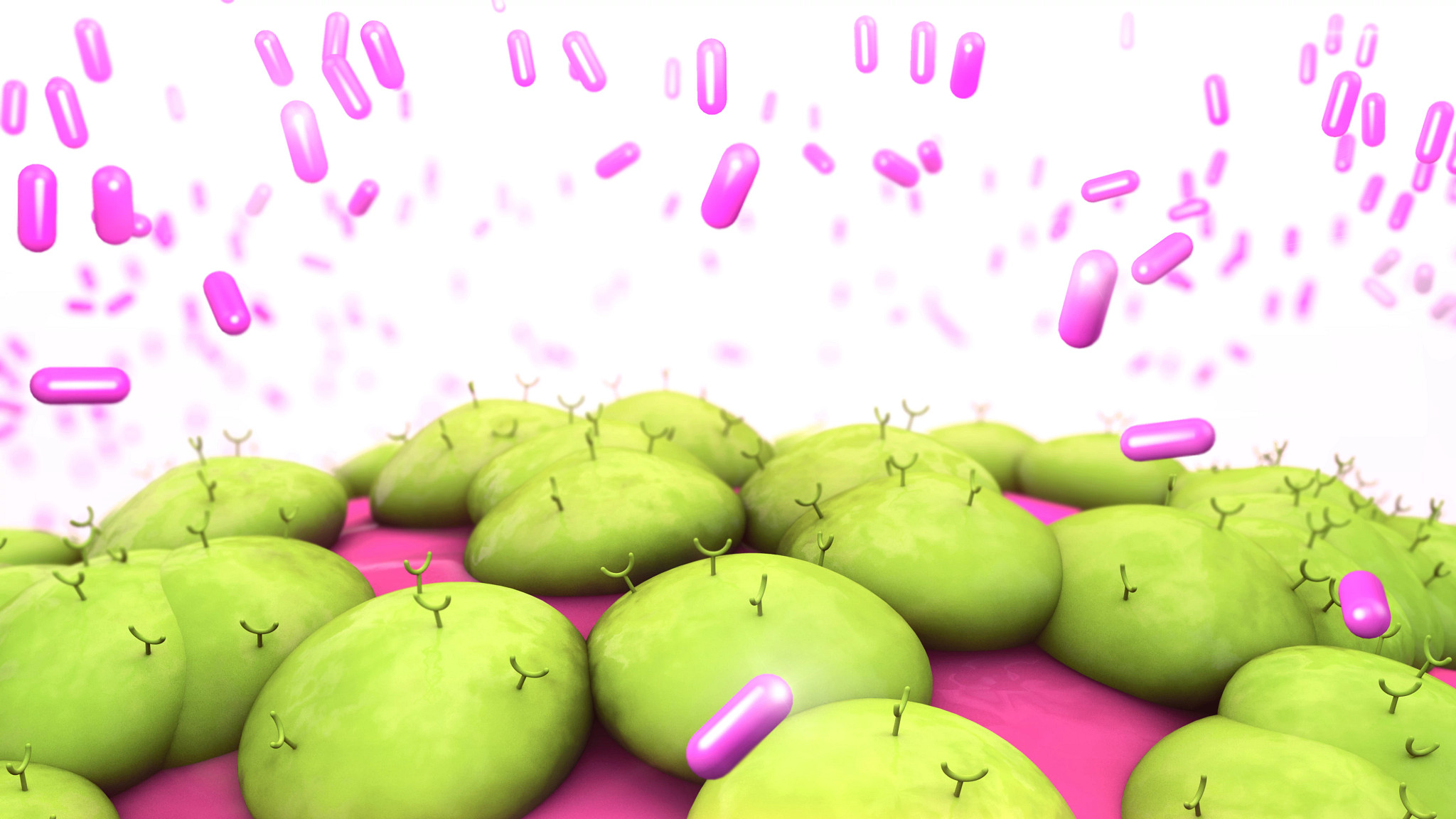 Graphic image showing the binding of a test article to an overexpressed human protein in HEK293 cells using the Retrogenix Cell Microarray.