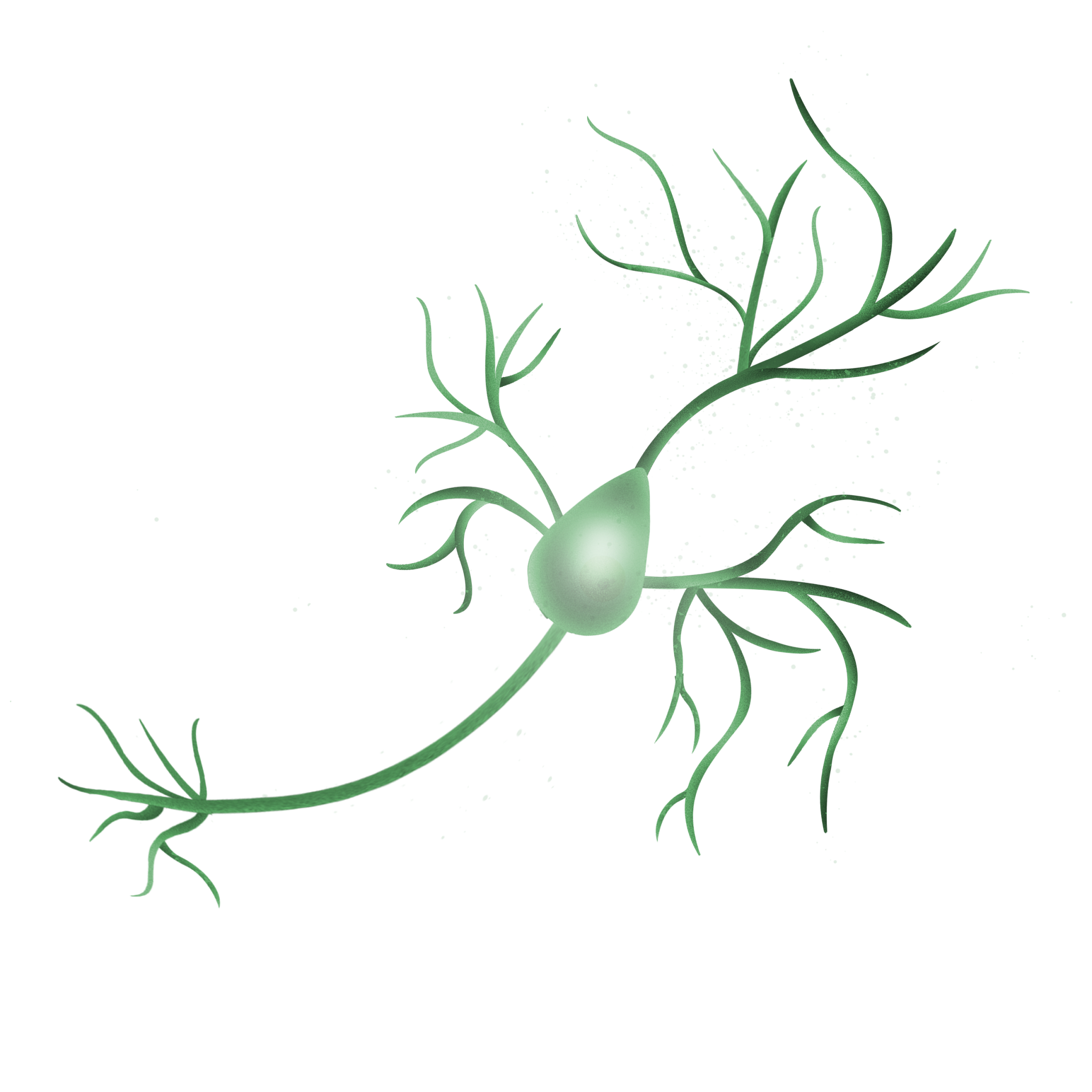 Psychiatric Disease Models & Assays | Charles River