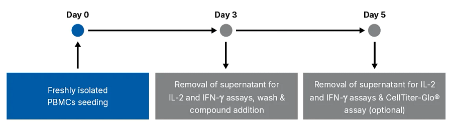 flow chart demonstrating day 0 to day 5 of PBMC seeding to the removal of supernatant for IL-2 and IFN-y assays