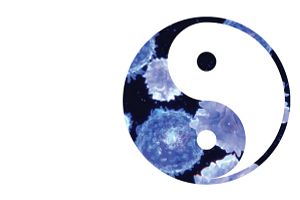 Yin yang debate around autoimmune and immunology research drug development