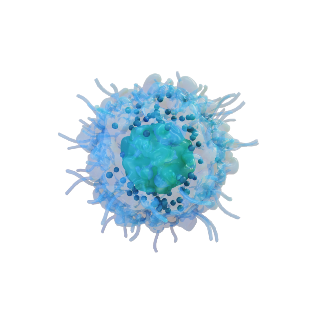 Natural Killer (NK Cells).