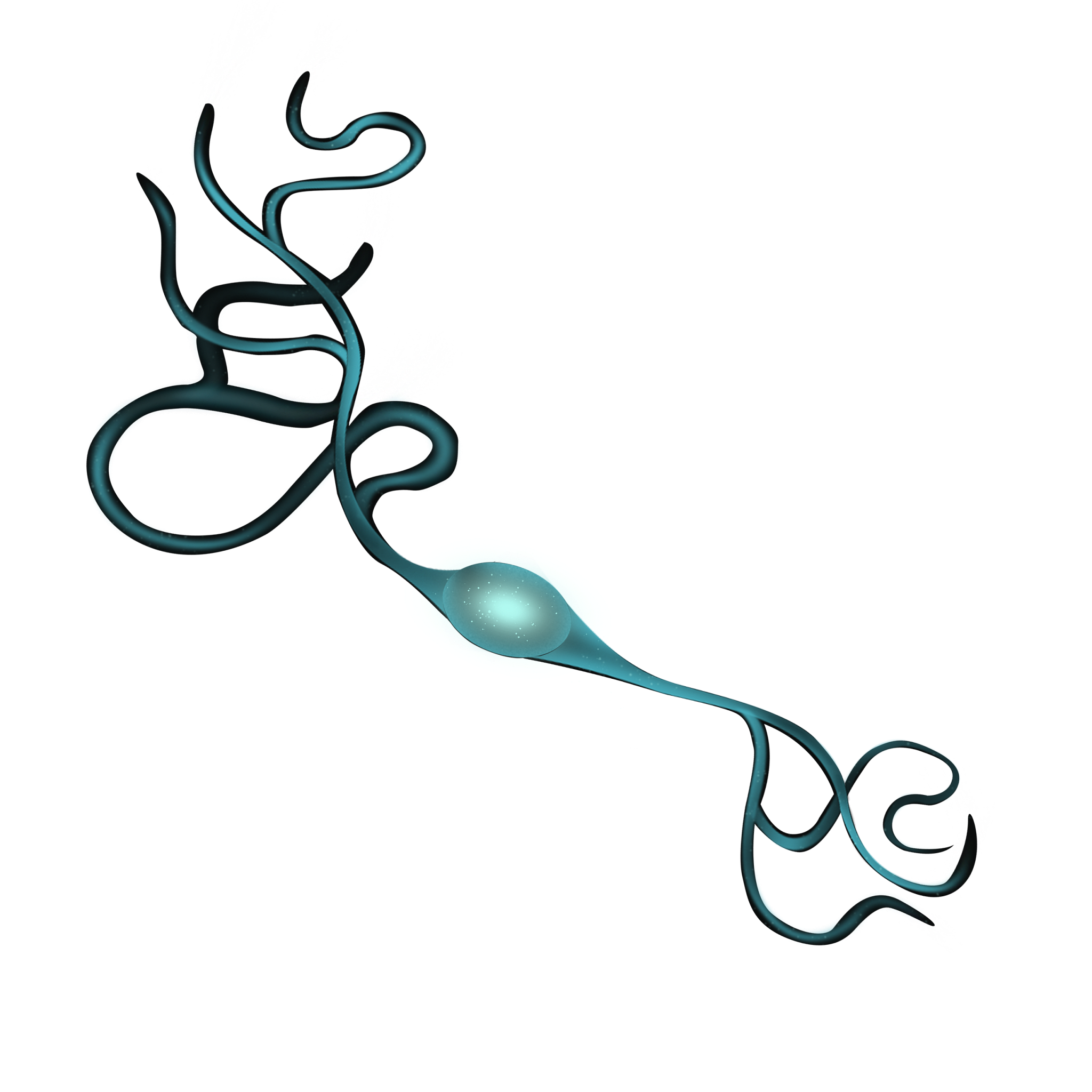 A graphic representation of a bipolar neuron to depict a dopamine neuron in Parkinson’s disease models and studies.