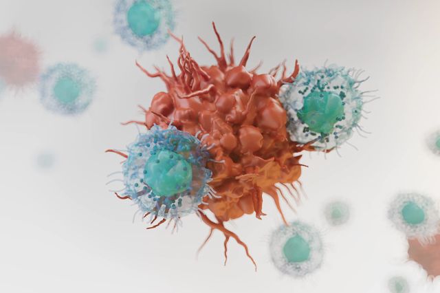 illustration of cells