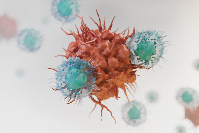 digital image of natural killer cells targeting cancer cells
