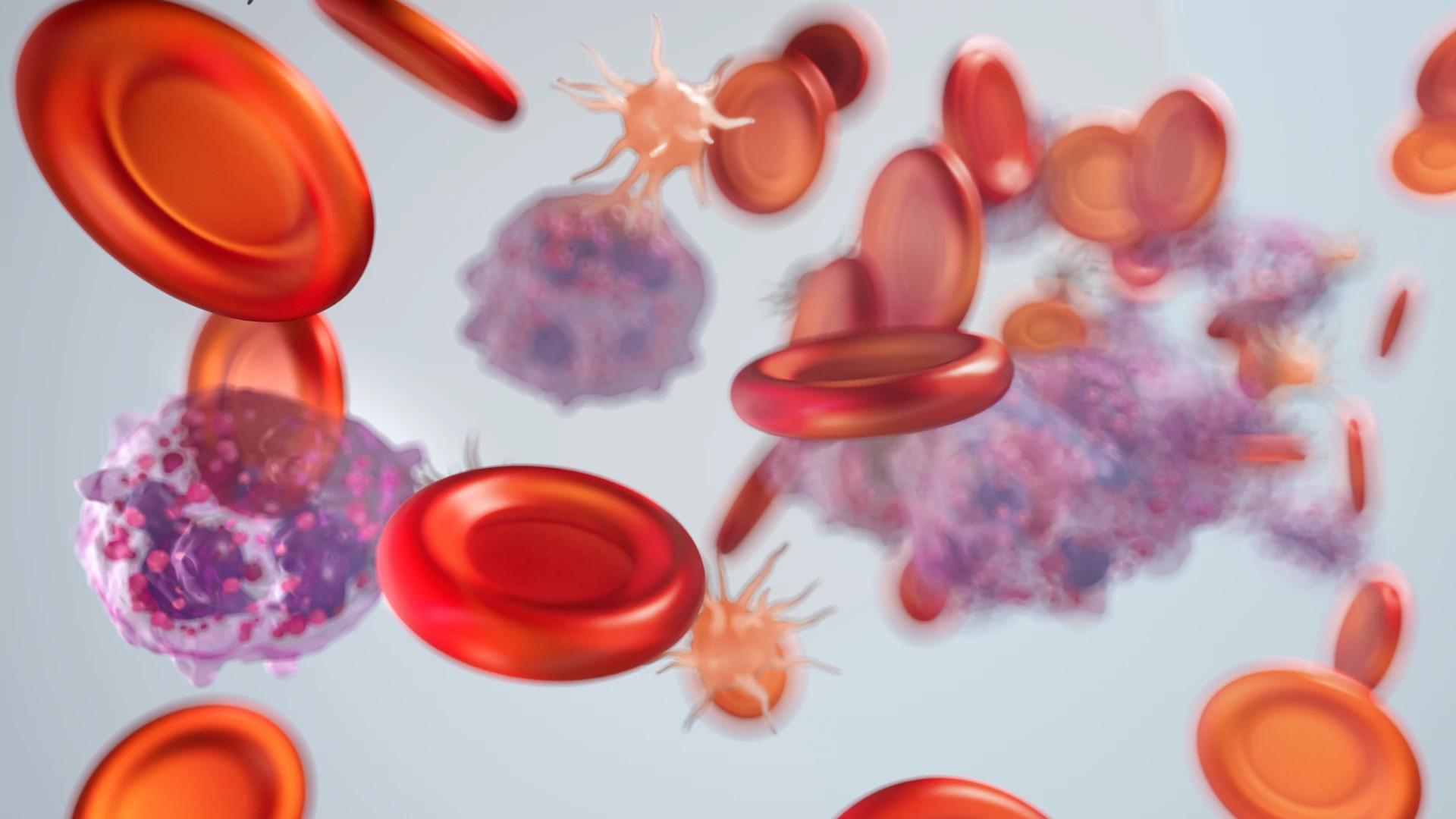 Cluster image of human blood - Red blood cell, Platelet, Neutrophil