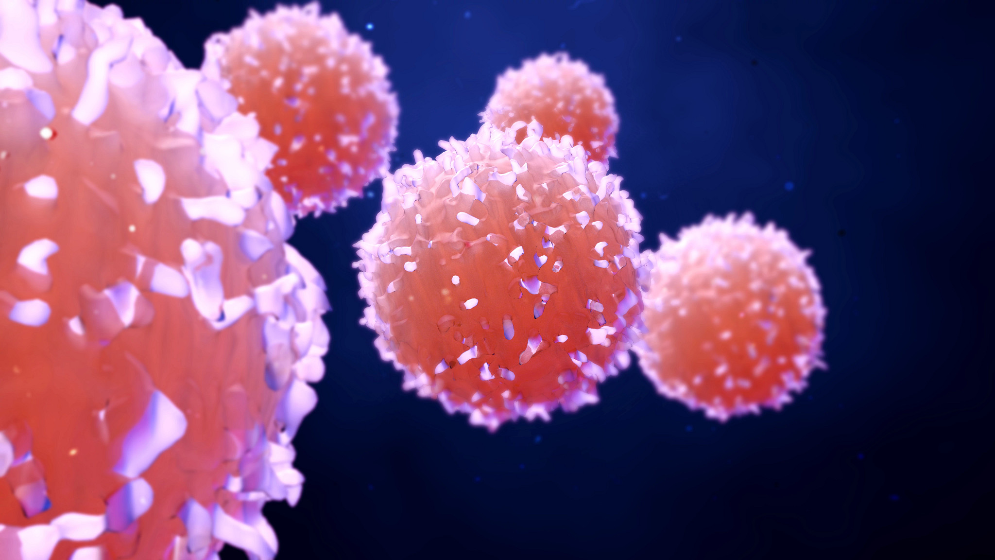 Image of pink cancer cells, oncology