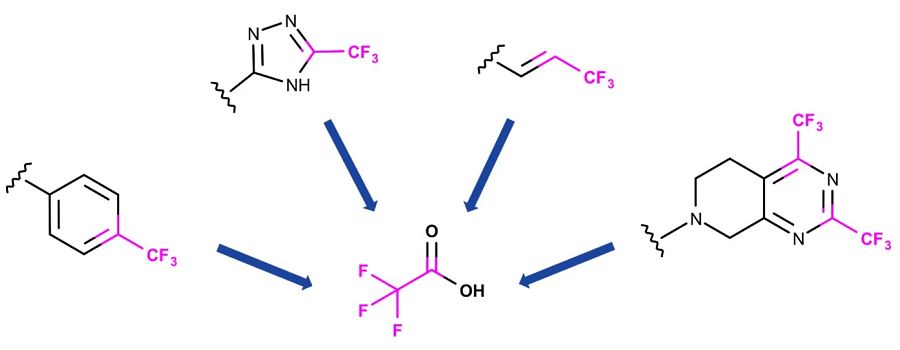 CCF FORMULA.jpg