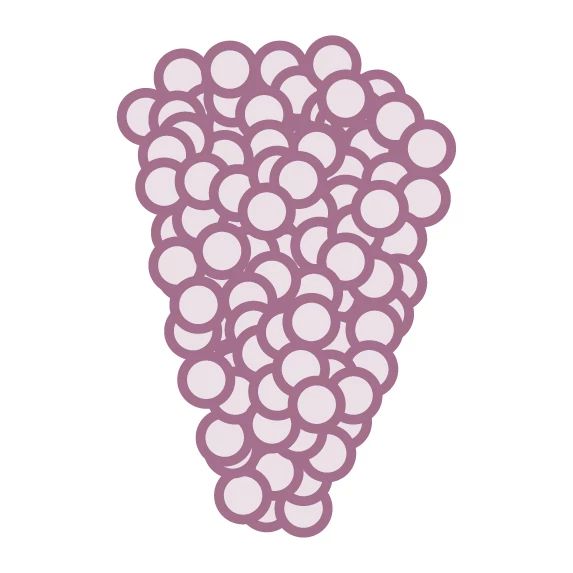 Antibody Target Expression Systems