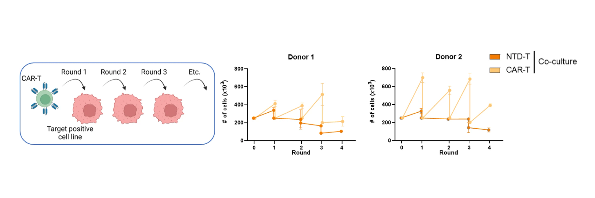Diagram showing repeated antigen stimulation (RAS) assay to determine CAR-T cell persistence