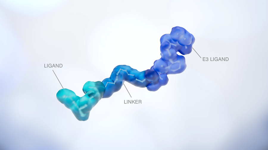 A graphic rendering of a monomer from the Charles River protein degrader chemical toolbox, with ligand, linker, and E3 ligand labelled.