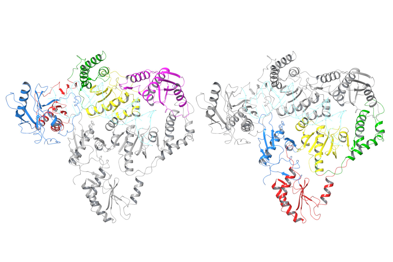 Rendering of the HERV-K crystal structure