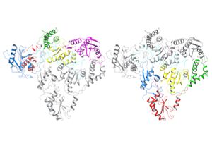 Rendering of the HERV-K crystal structure