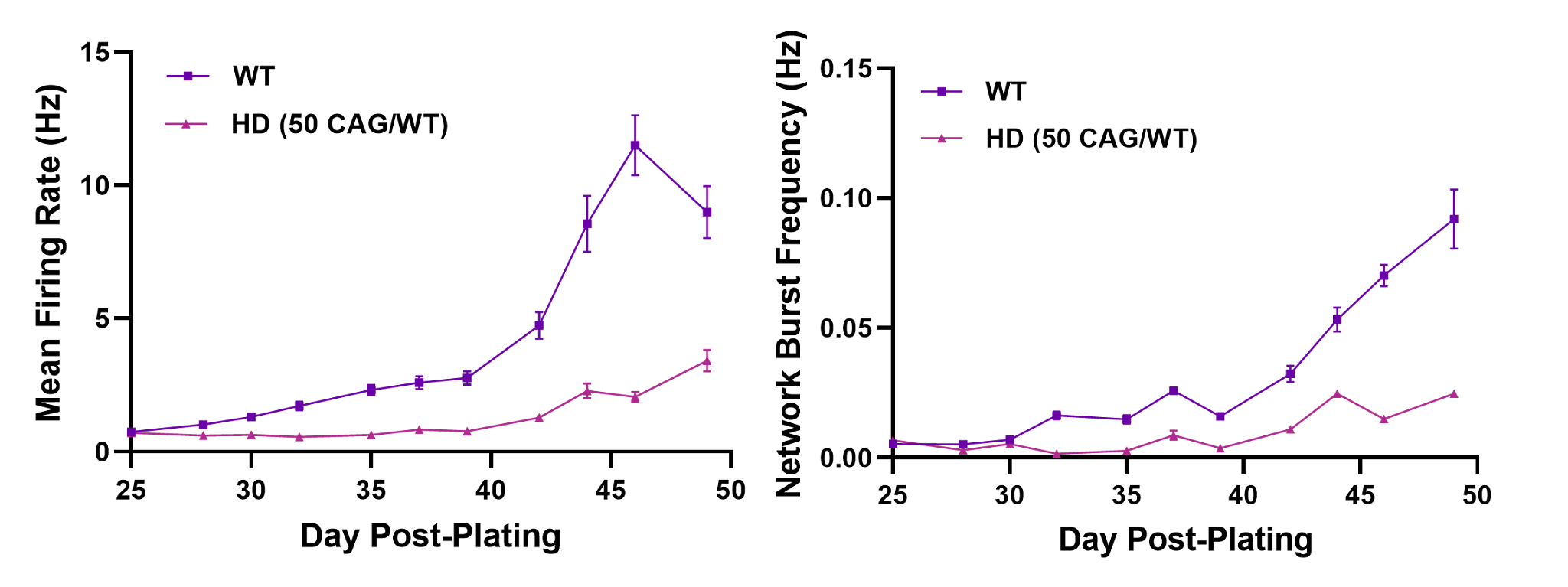 This assay can be used to screen lead compounds for efficacy against functional Huntington’s disease phenotype changes.