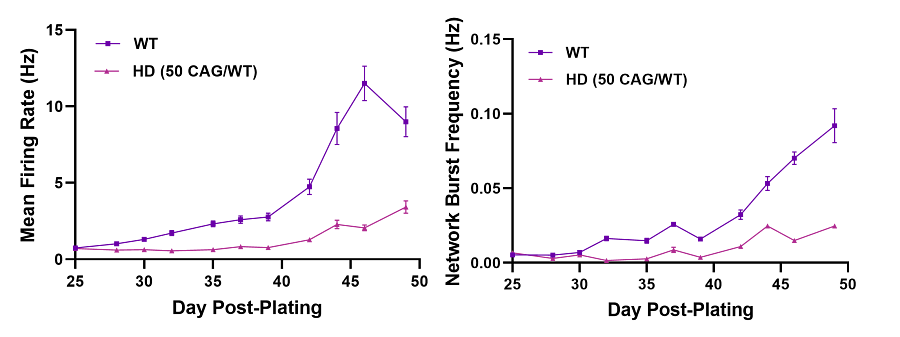 This assay can be used to screen lead compounds for efficacy against functional Huntington’s disease phenotype changes.