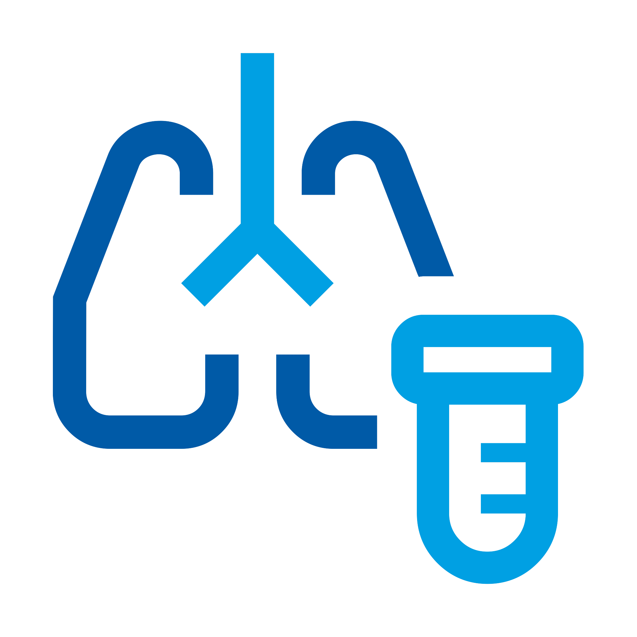 Lung toxicology icon