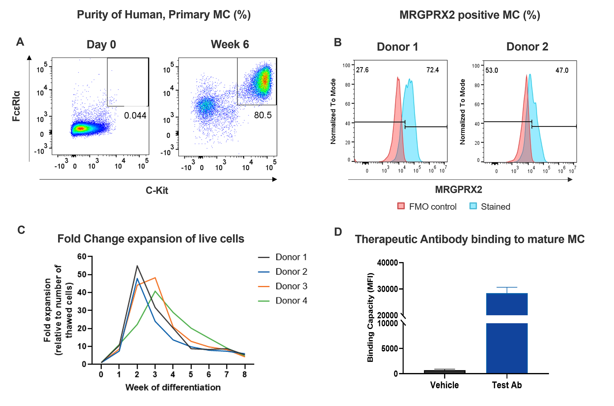 Human Primary MCs differentiation and immunophenotyping.