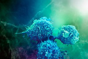 Macrophage, inflammation