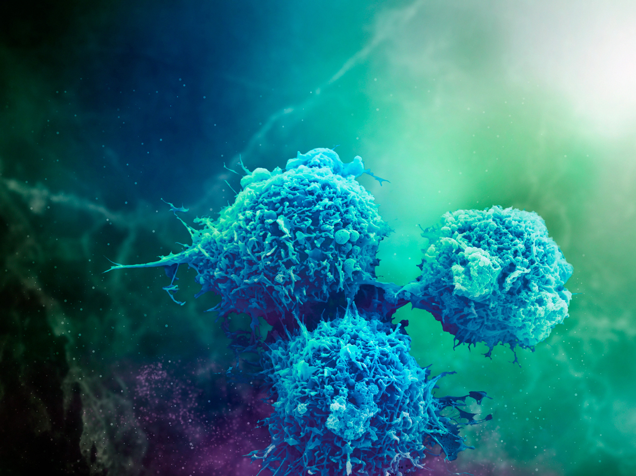 Graphic of an inflammation macrophage