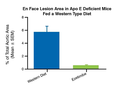 Bar chart on the left showing the en face lesion area in Apo E deficient mice fed a western type diet.