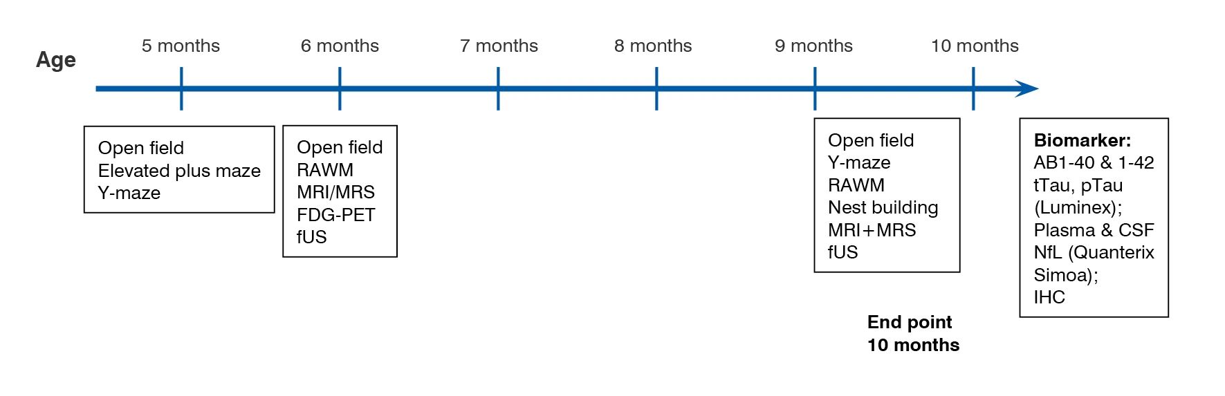 Protocol for 5xFAD mice