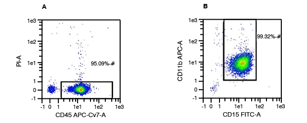 CD45 and Propidium Iodide (PI) are used to assess purity and viability of the PBMCs.