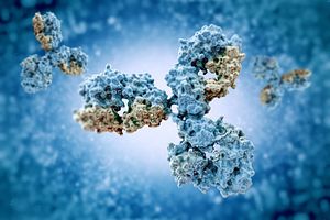 Immunology, immune system,