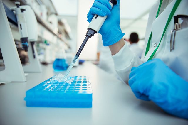 Scientist accessing the endosafe customer portal on a laptop