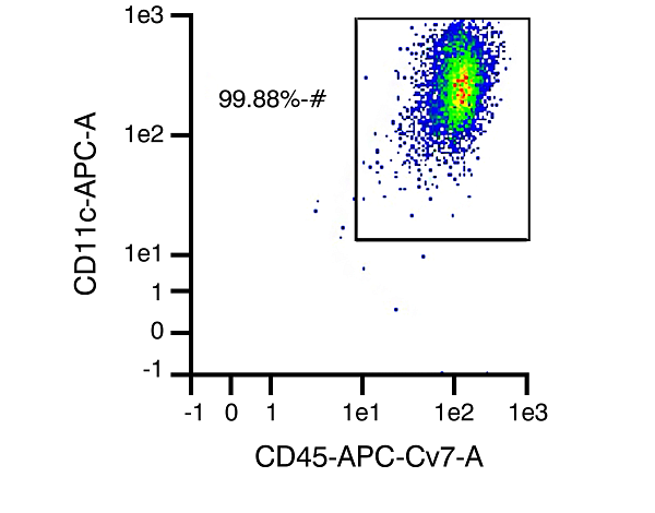 CD11c surface marker is targeted for immunomagnetic labeling to identify DC cells present following differentiation of monocytes in culture. When comparing levels of CD11c versus expression of CD45, the purity of the sample for dendritic cells can be assessed. This graph shows a representative data set with dendritic cell purity of 99.88% (actual purity may vary somewhat from sample to sample).
