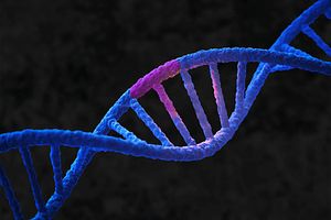 Next-generation ASOs for Duchenne’s Muscular Dystrophy.