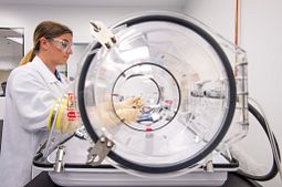 Scientist in a lab.