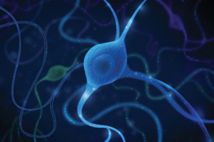a rendering of a neuron on a dark background