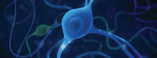 Illustration of neurons on a blue background.