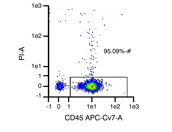 CD45 and Propidium Iodide (PI) are used to assess purity and viability of PBMCs. CD45 is expressed on all leukocytes and is used to indicate purity of the white blood cell (WBC) component. Because PI cannot pass through the membrane of live cells to stain DNA, it serves as an indicator of viability. Representative data shown here indicates viability of 95.09% – meaning >95% of cells in this sample are viable WBCs (may not be indicative of received samples).
