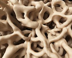 3d medical science human bone healthy skeleton close-up microscopic sponge structure anatomy tissue