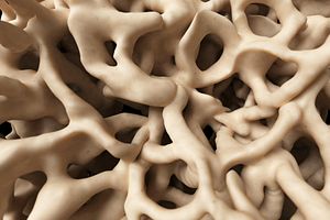 3d medical science human bone healthy skeleton close-up microscopic sponge structure anatomy tissue