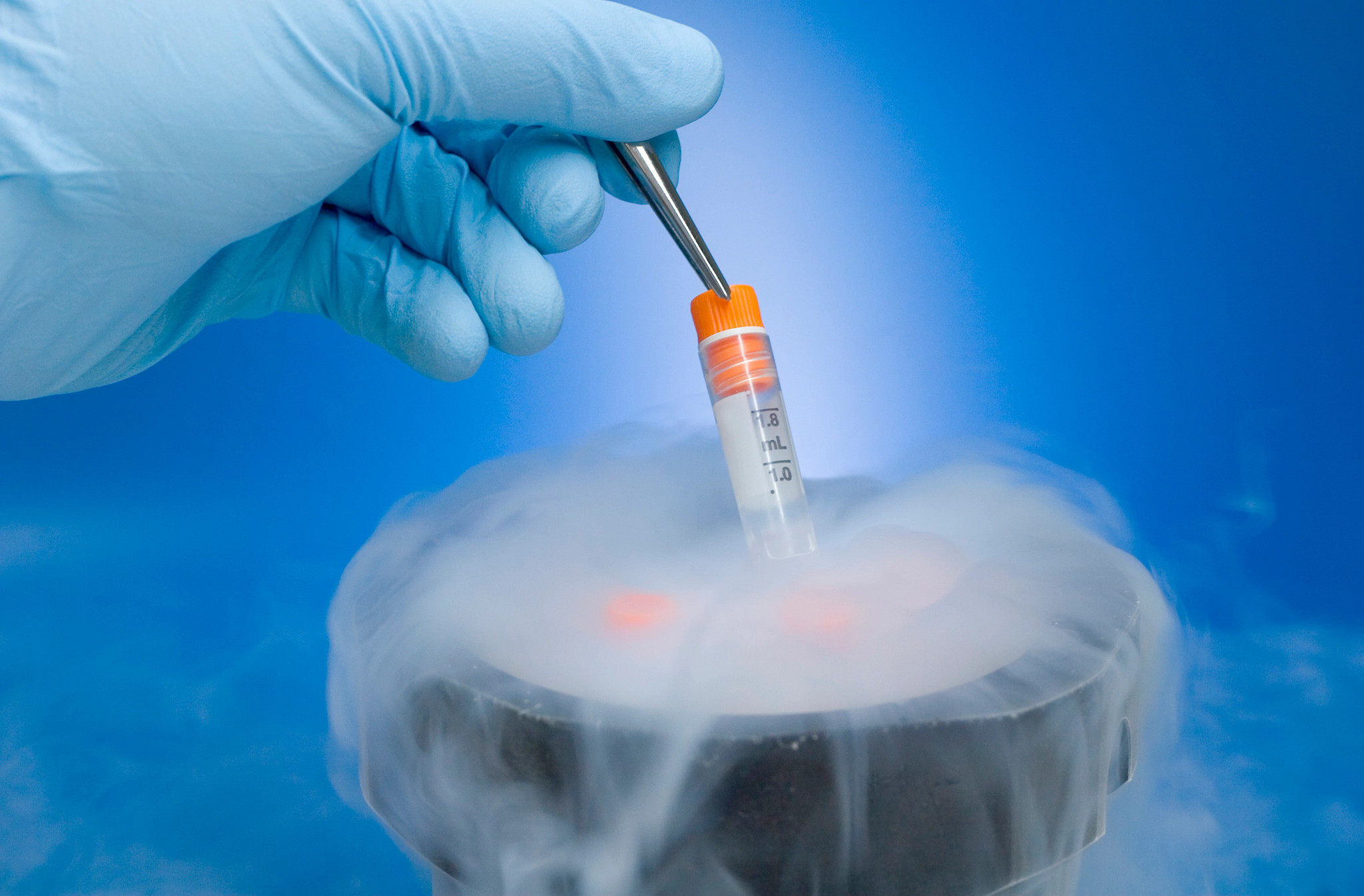 Cryopreserved Isolated Cells