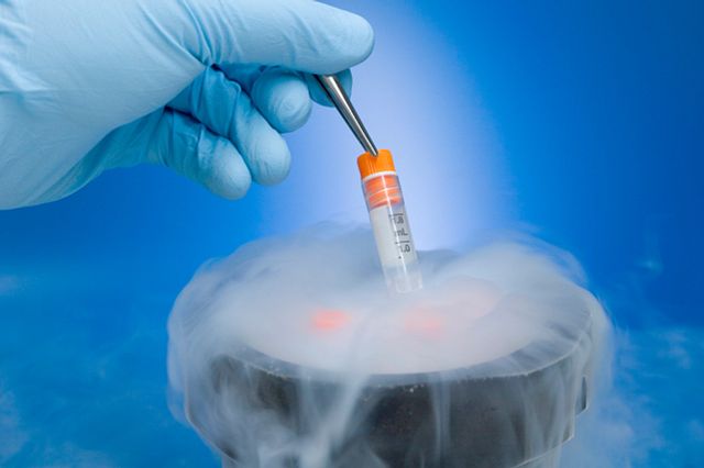 technician extracting a vial of cryopreserved isolated cells from a cryopreservation tank