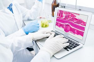 Digital Pathology