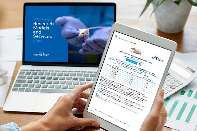 2026 catalog displayed on a laptop