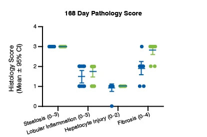 Scatter plot showing the pathology score for the ob/ob mouse model