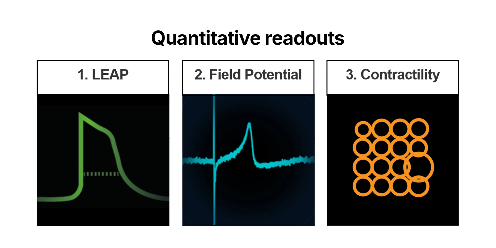 Illustration showing MEA readouts
