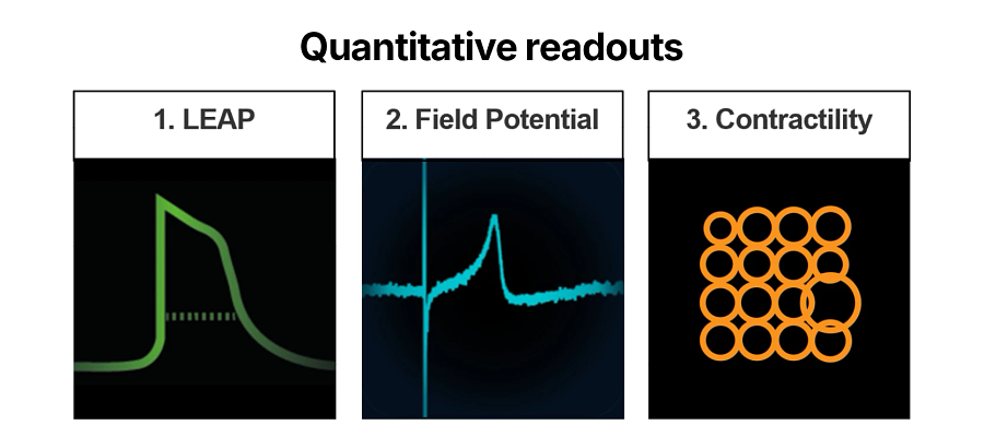 Illustration showing MEA readouts
