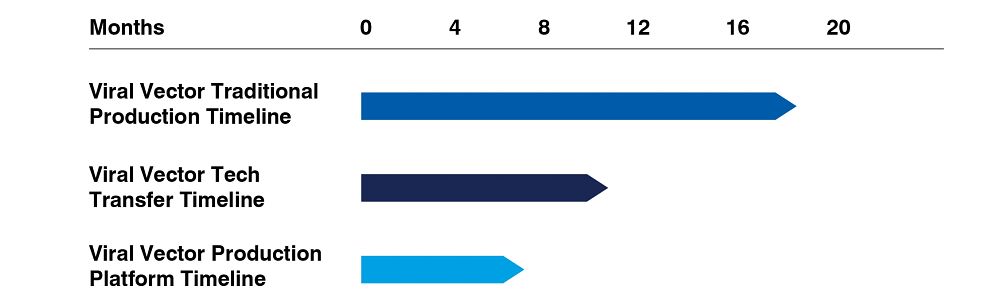 Viral Vector Tech Transfer Timeline