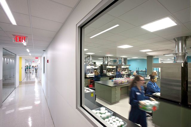 QC microbiologists in an automated laboratory for rapid microbial detection systems.