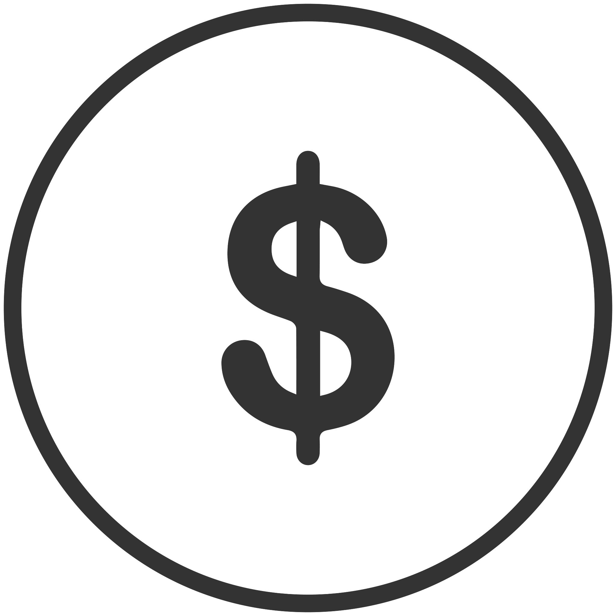 Icon of dollar sign to visualize cost-effective solutions