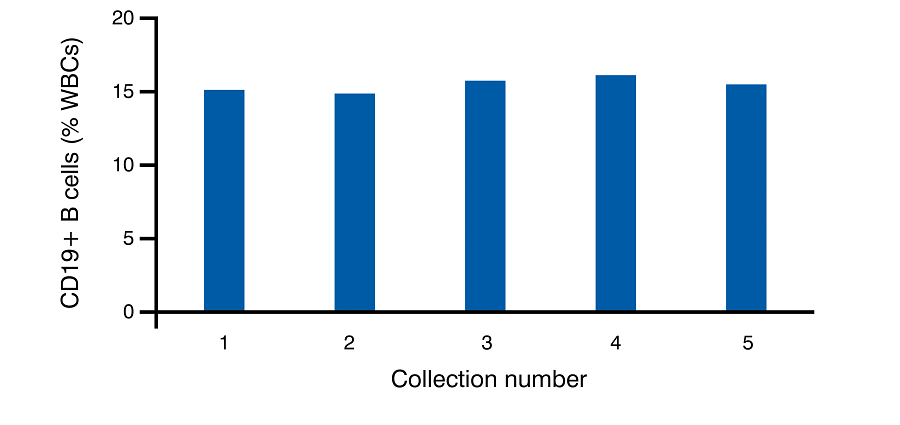 Across all 5 collections from the same recallable donor, and 15% CD19+ B cells were observed indicating the high quality of this starting material. Human B cell values are reported as the percentage of CD19+ cells per total WBC yield.