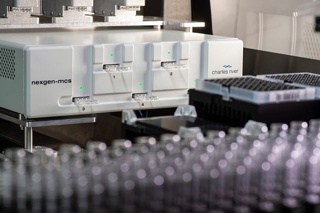 Technician inspecting samples in an automated bacterial endotoxin testing machine.