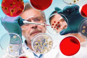 Lab technician wearing blue Charles River Lab coat analyzing sample in a futuristic laboratory setting
