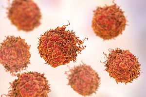 Cancer cells.
