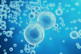 illustration of CRE recombinase of a mouse cell against a blue background